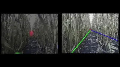 Split view: the robot's onboard camera feed beside predicted row keypoints used to steer it through corn.